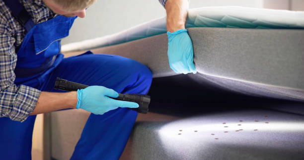Flea Control Services in Winters, CA