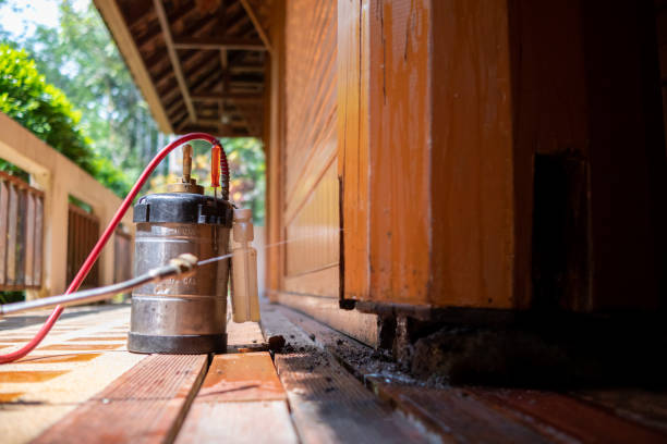 Best Residential Pest Control  in Winters, CA