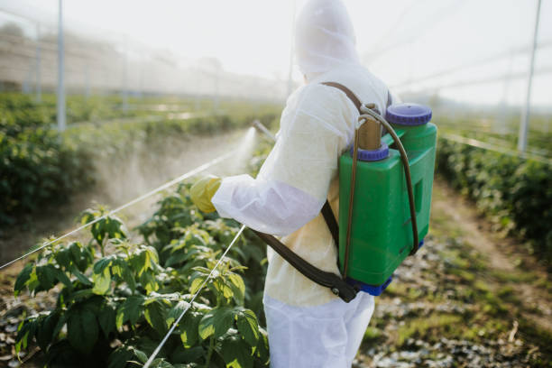 Best Emergency Pest Control  in Winters, CA